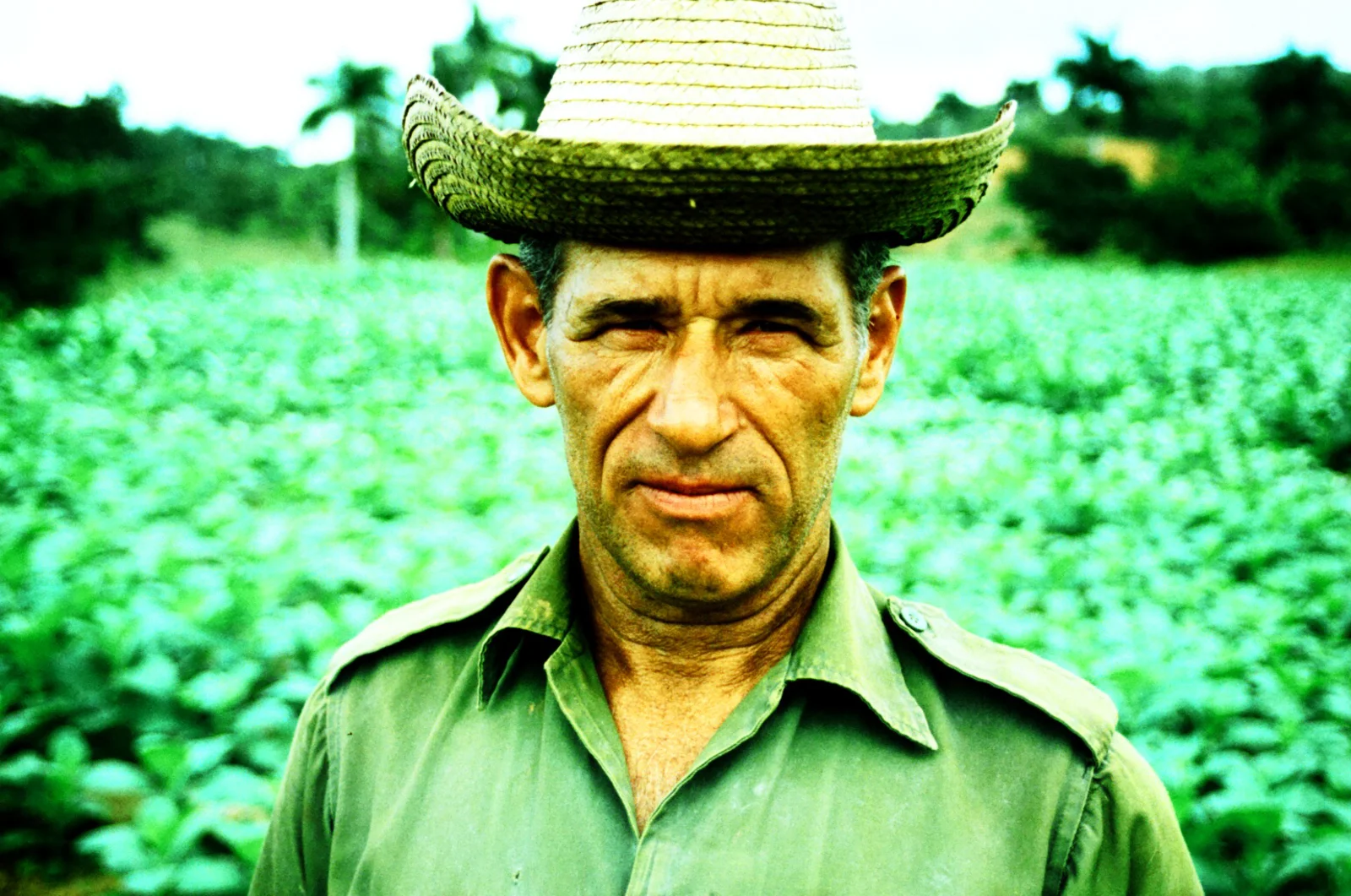 La Fuerza. Valle Viñales, Cuba.