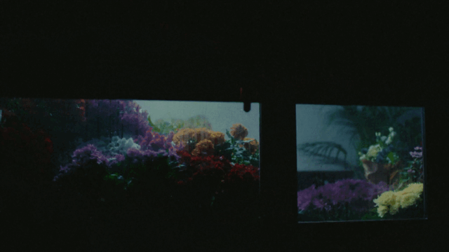 CLIP7.gif