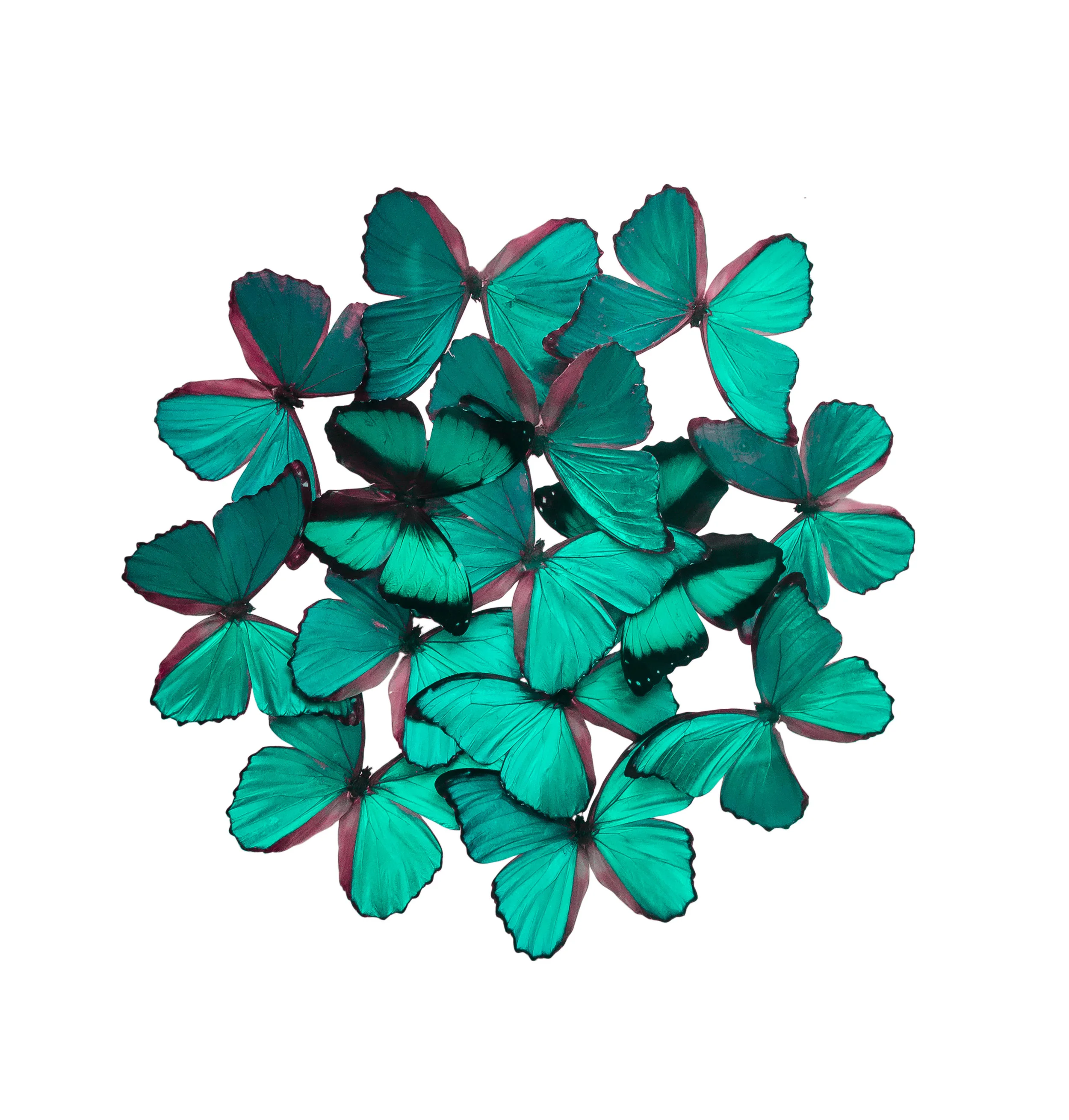 iStock-1039033156.jpg
