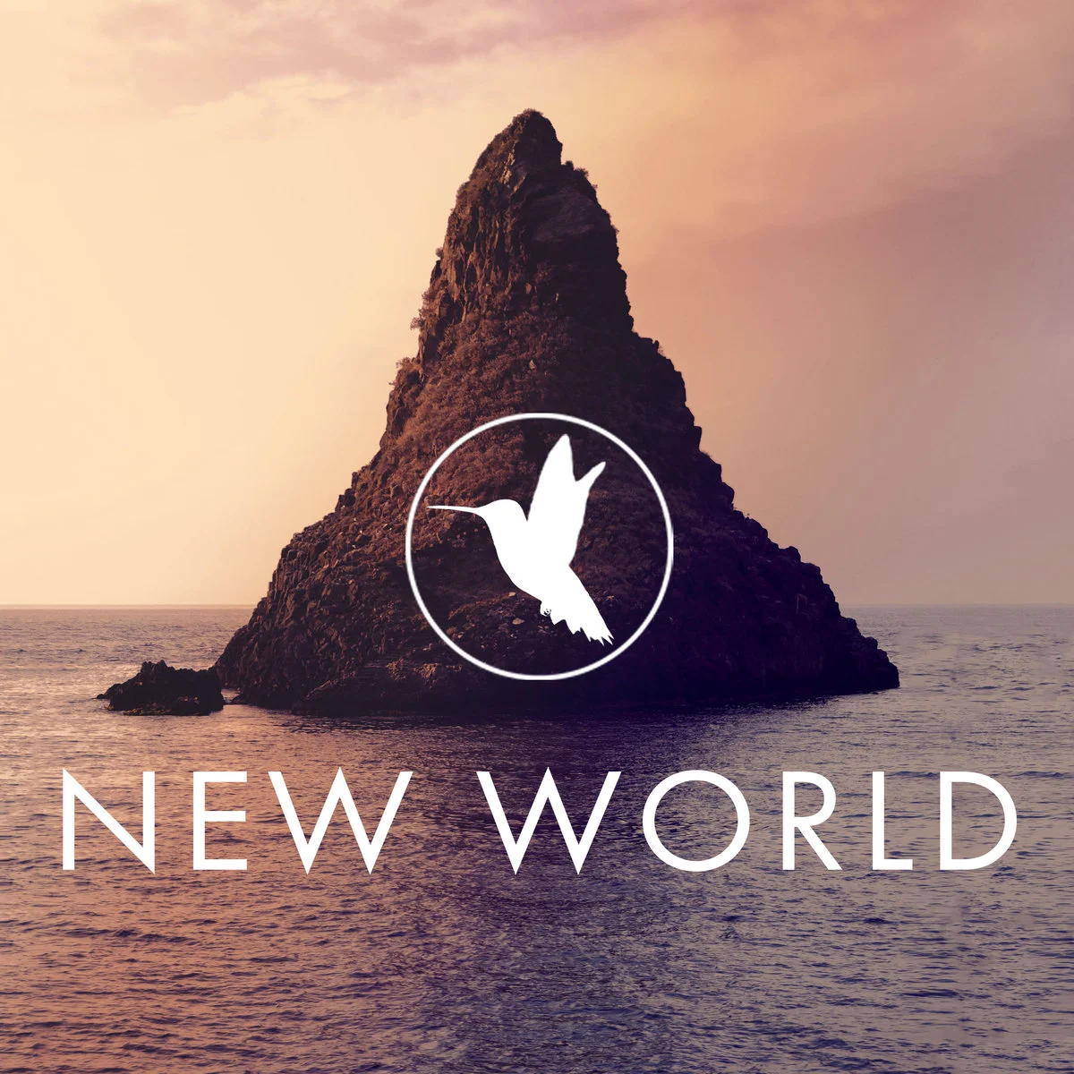 [REVIEW] New World EP by Wirebird