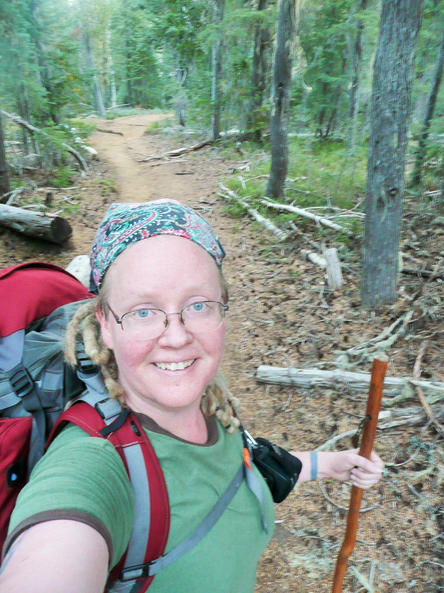 Serenity Madrone on Obsidian Trail.JPG