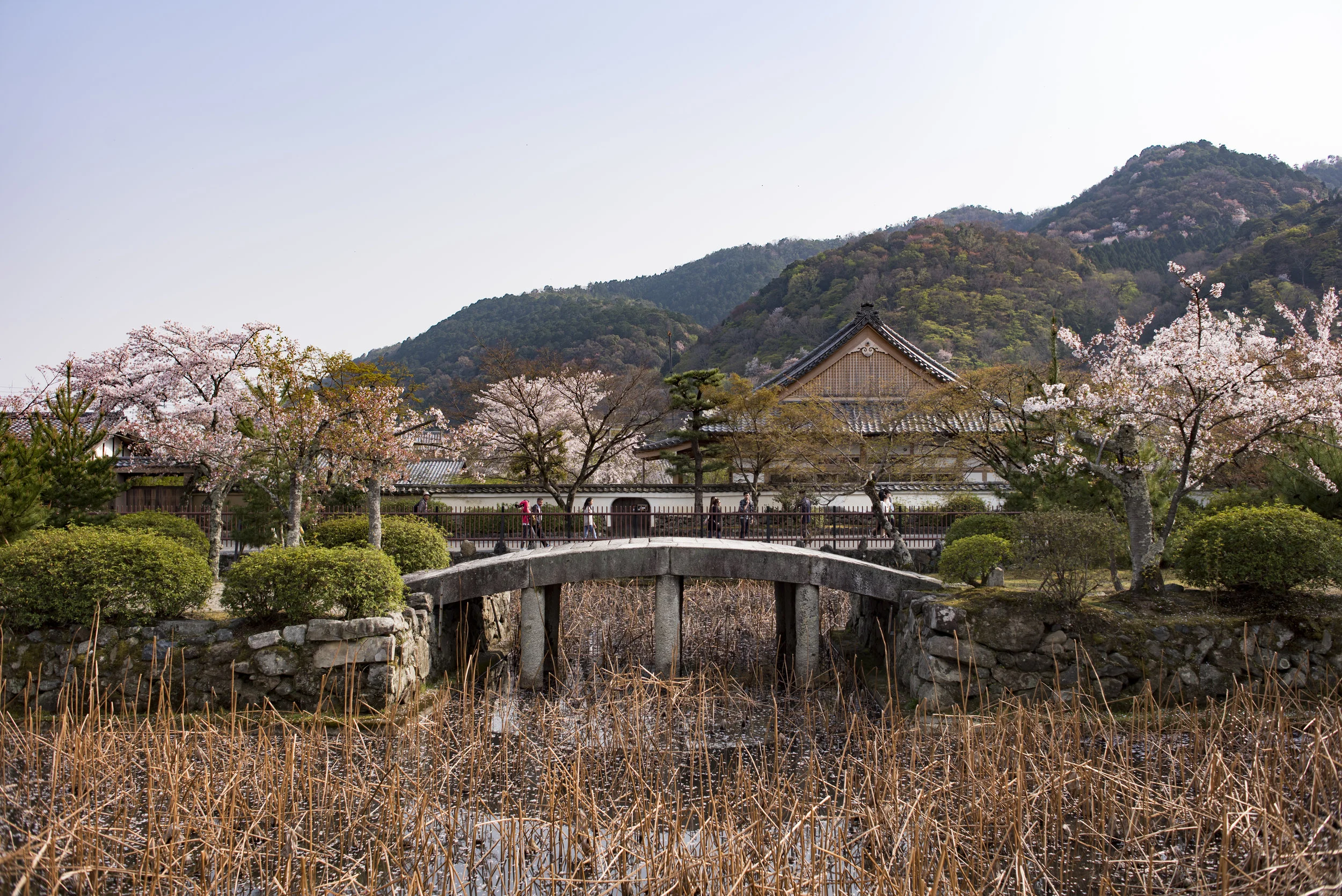 japanbridge-1.jpg