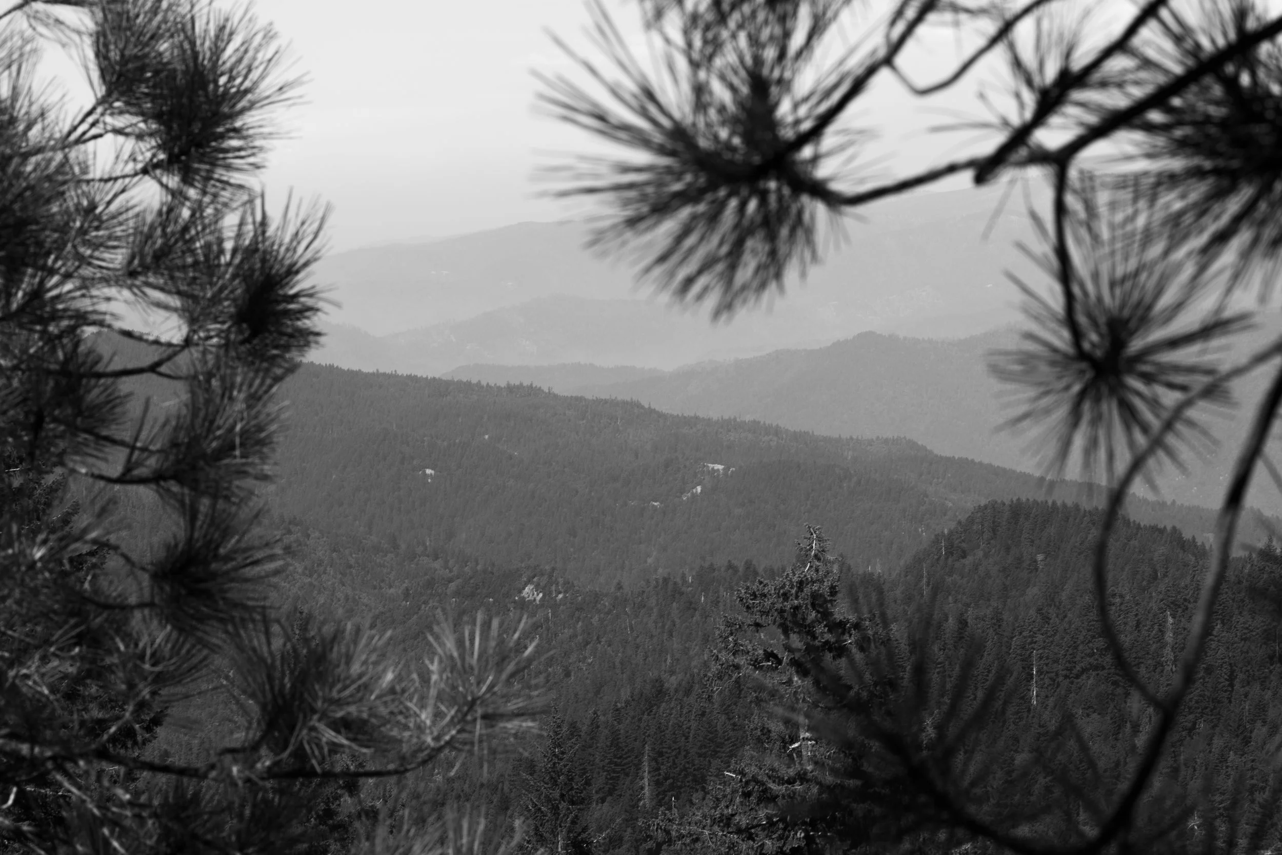DSC_2194.jpg