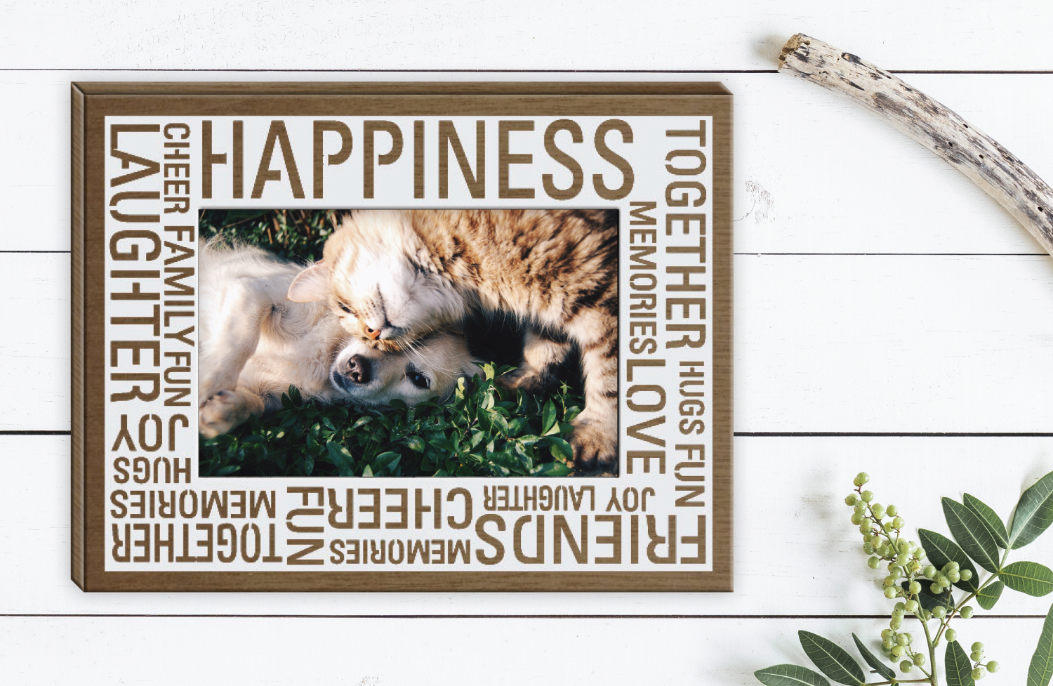 WebsiteImages_2019_PetFrame.jpg