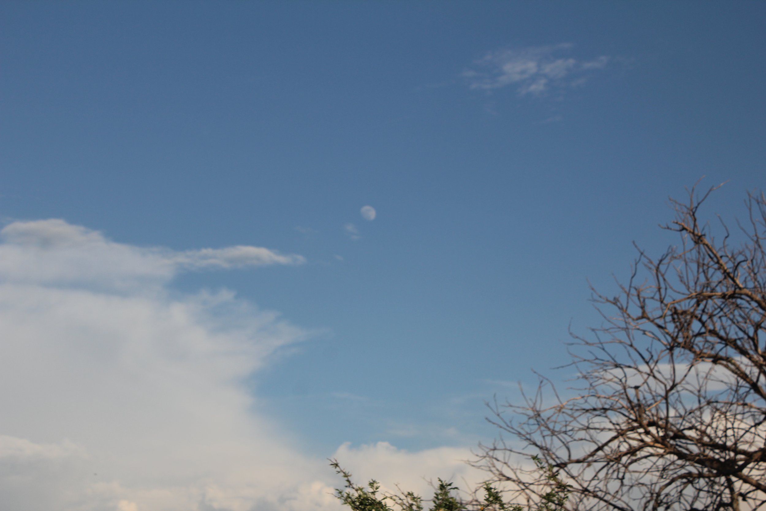 IMG_3750.jpeg