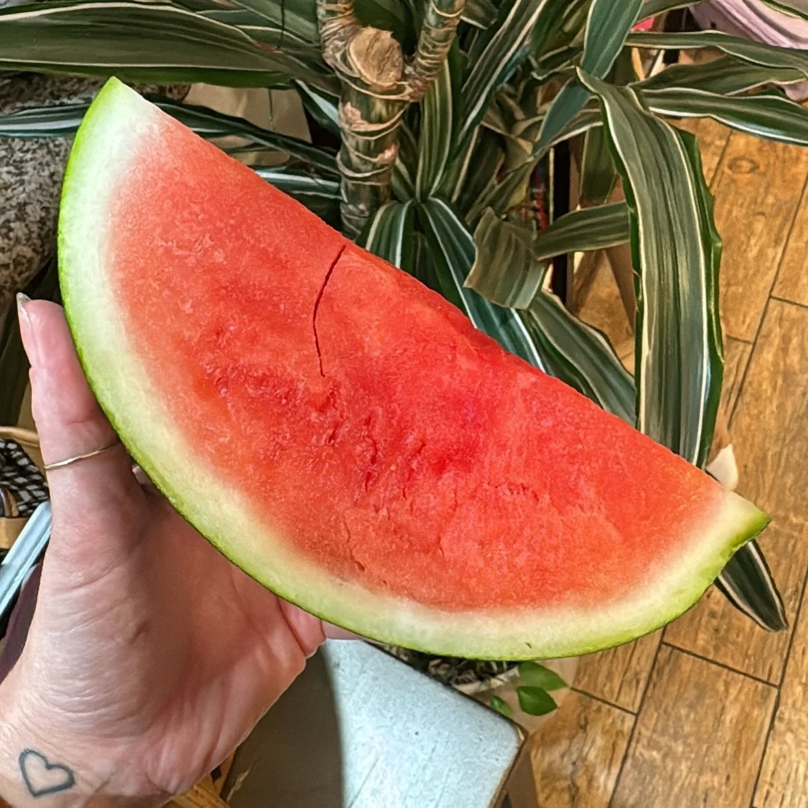 I wish for you what you wish for Palestine.