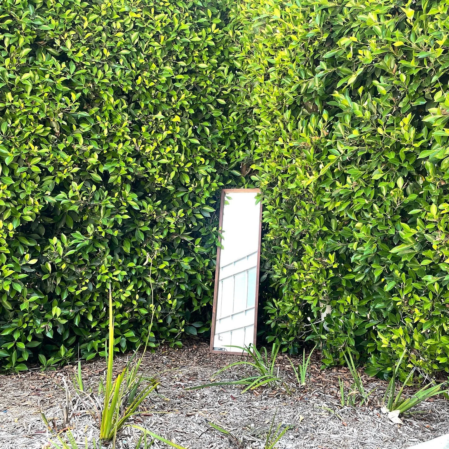 🦋 Mirror work, in no particular order.