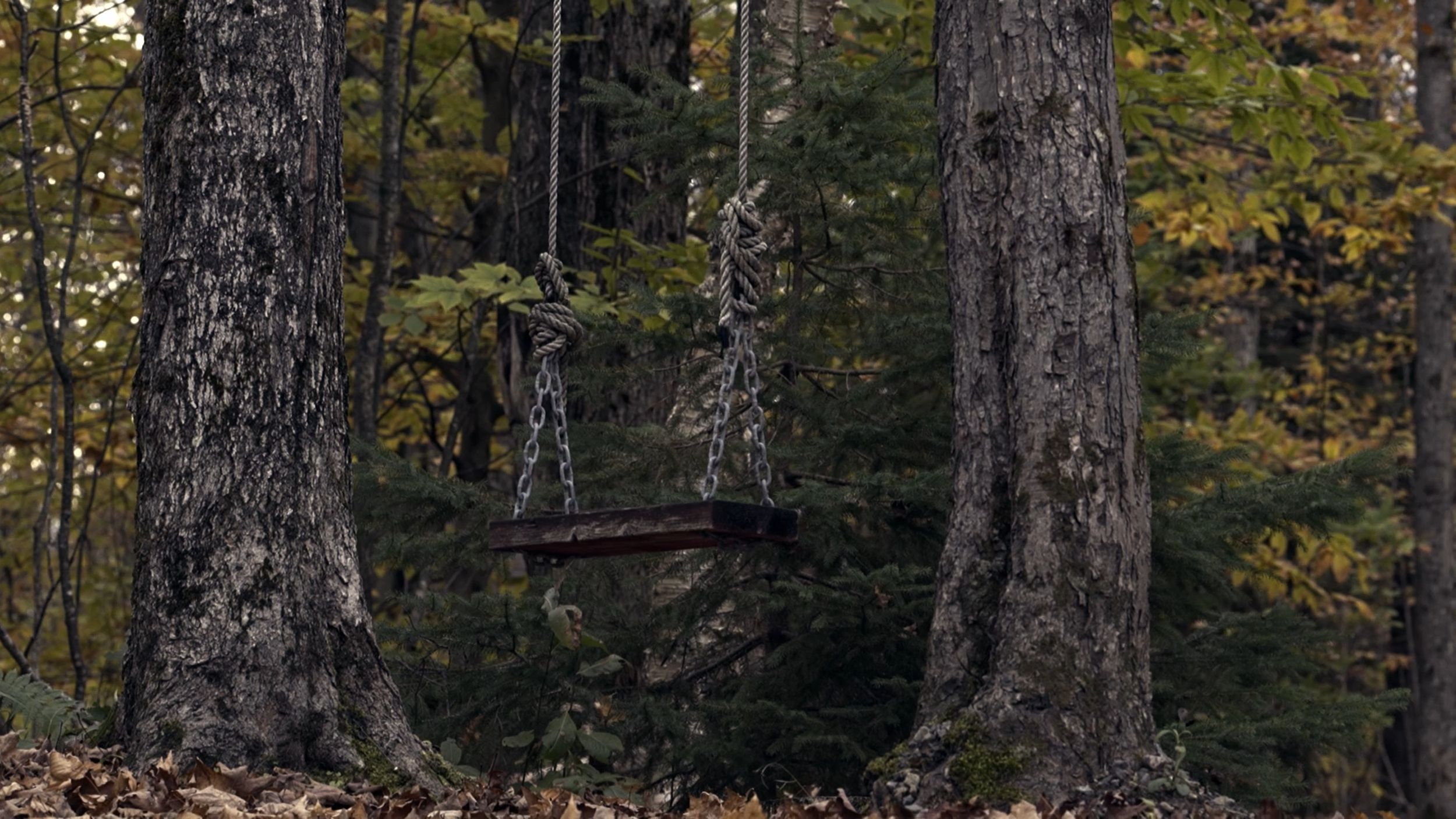 The Swing
