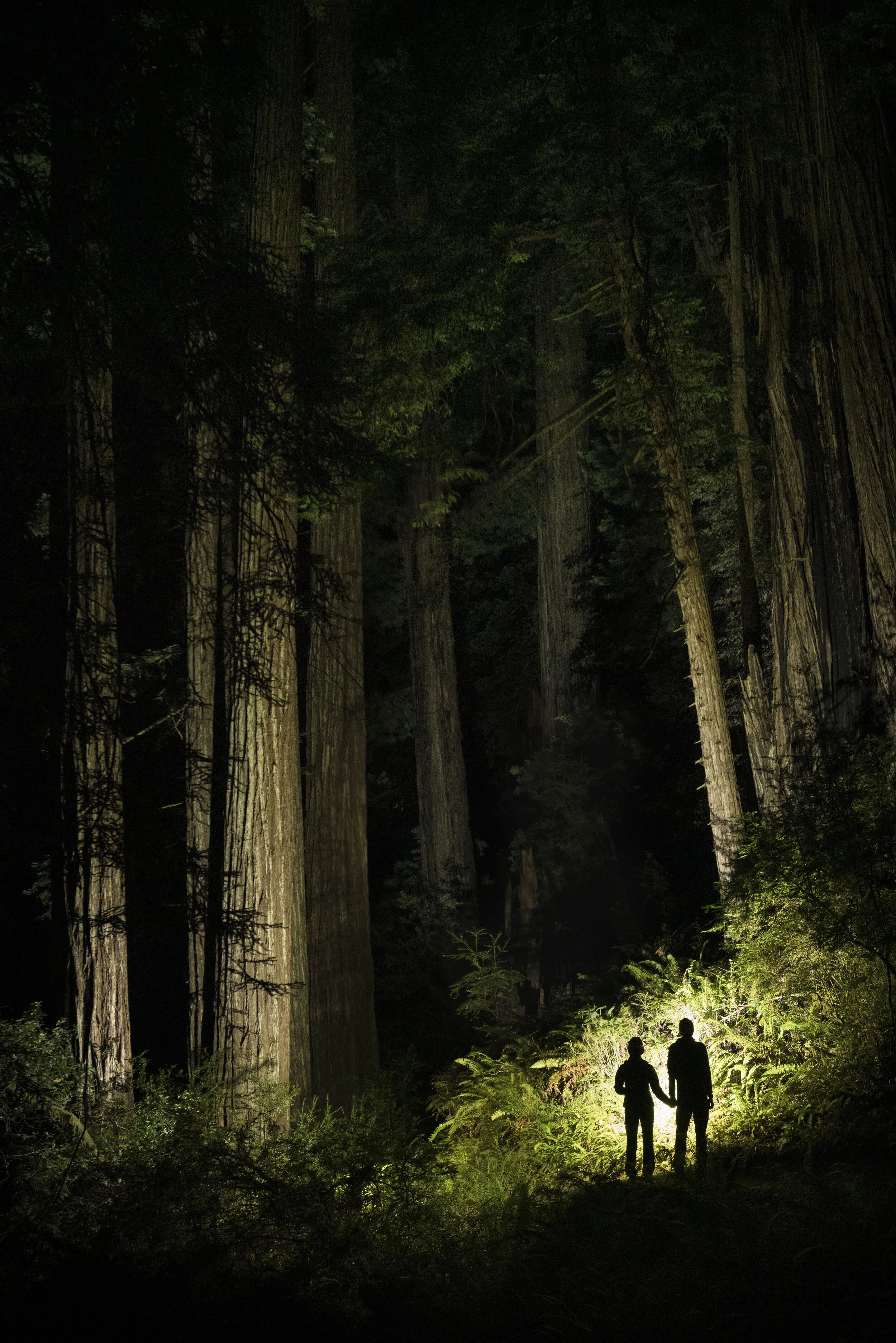 Life Framer_Night Life_Jun Ma.JPG