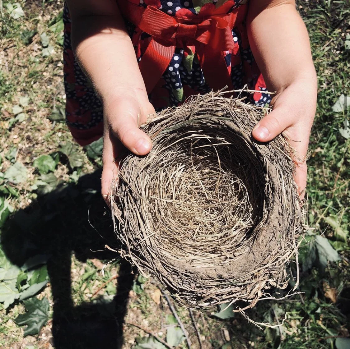 Faith and Hope Like a Child