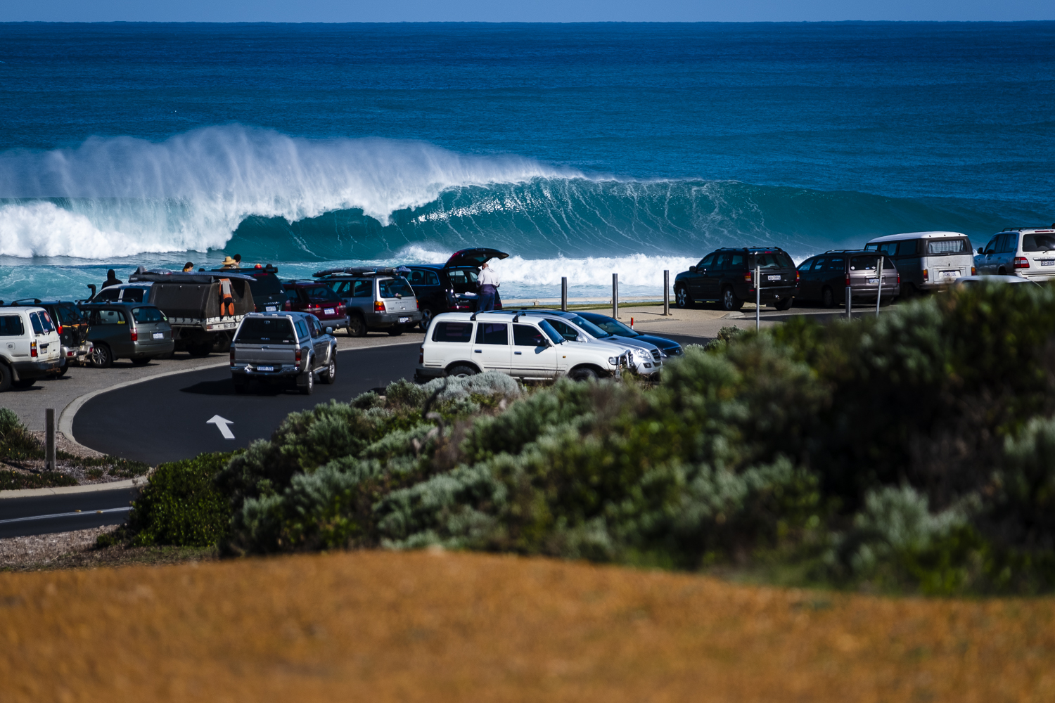 Margs Swell_Photo Ord-33.jpg
