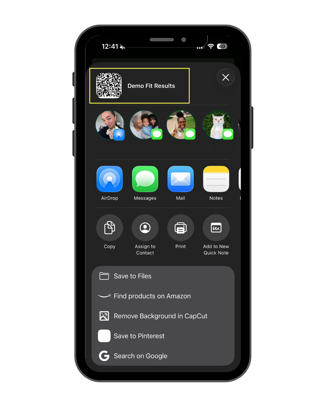 AVP Demo Fit Project (1).png