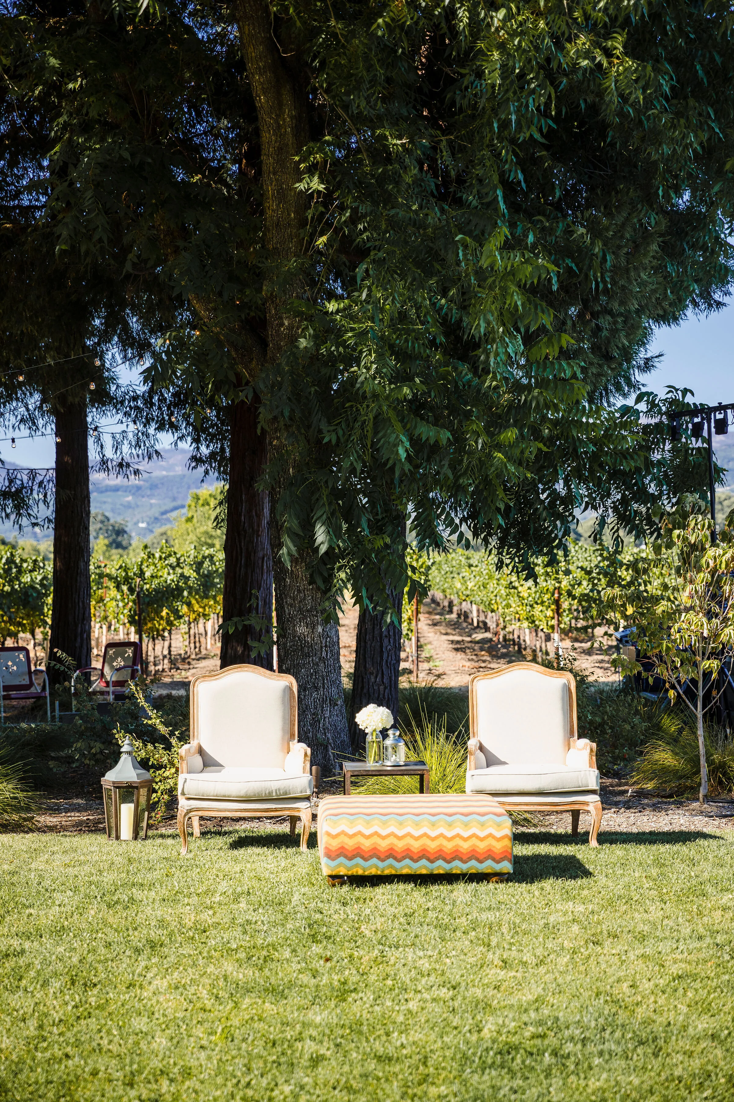 Tommy's50th-9 (1).JPG