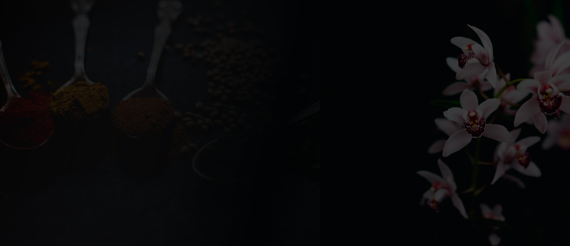 tangling-banner-3.jpg