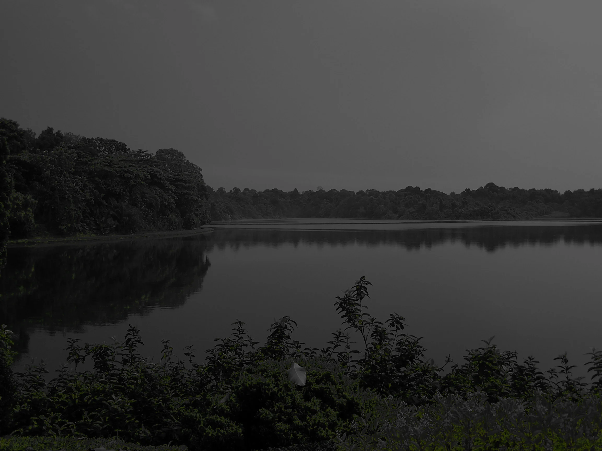 mandai.jpg