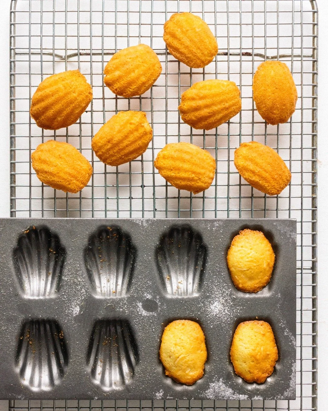 Coconut madeleines for Sunday baking.