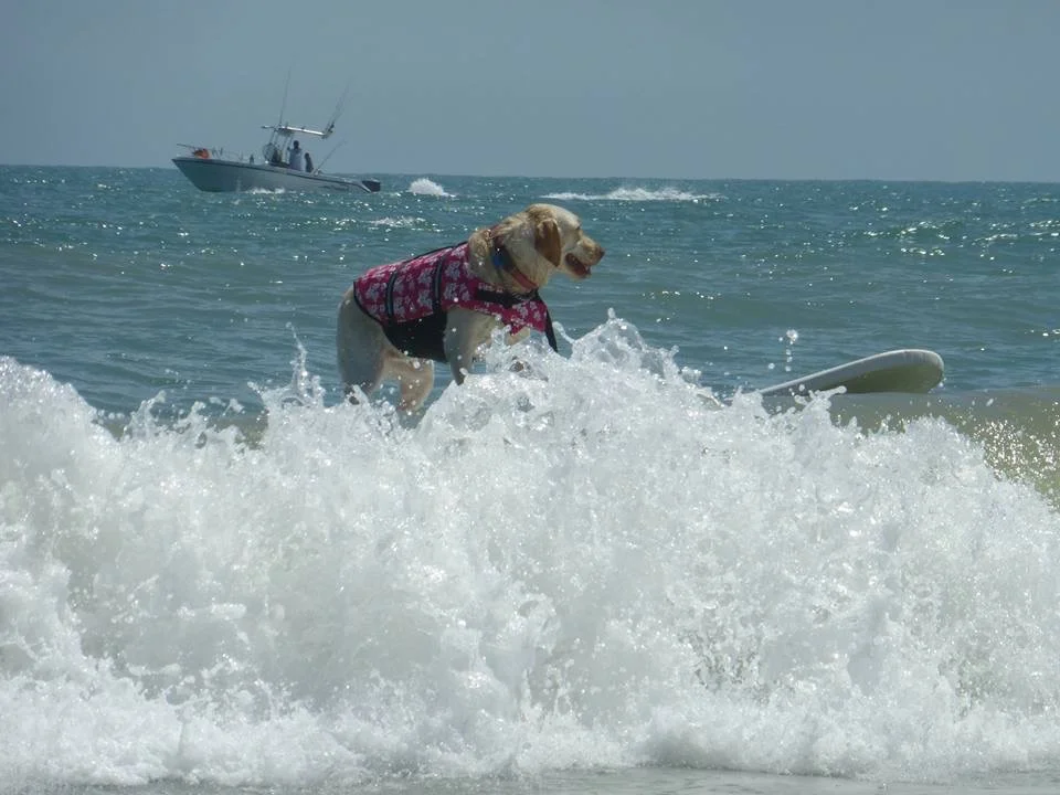 Gallery and Map — Cocoa Beach Stay Cottages