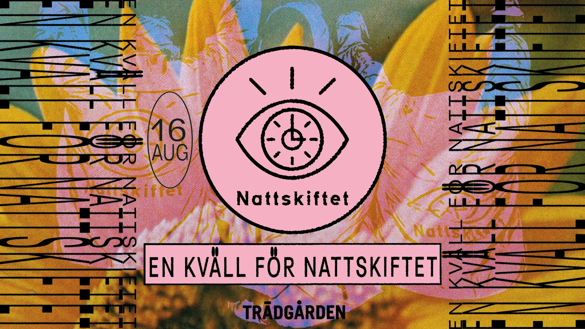Trädgården Live Sessions: En kväll för Nattskiftet