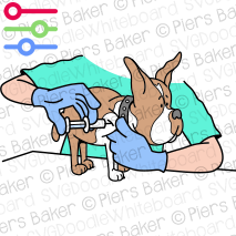 VetDogInjectionMicrochipSecurityDognappingTheftPuppyPoochPet.png