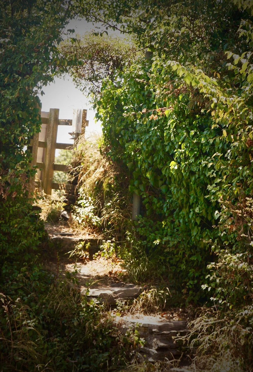 garden-path.jpg