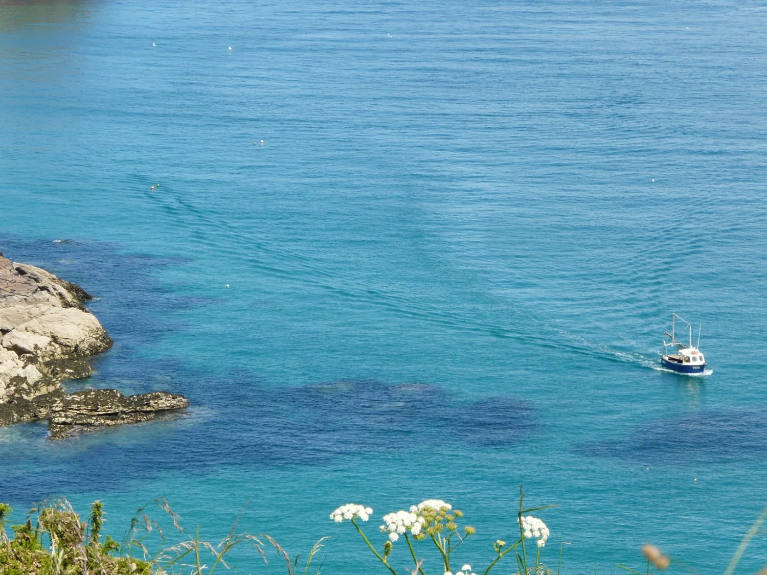 view-from-rumps.jpg