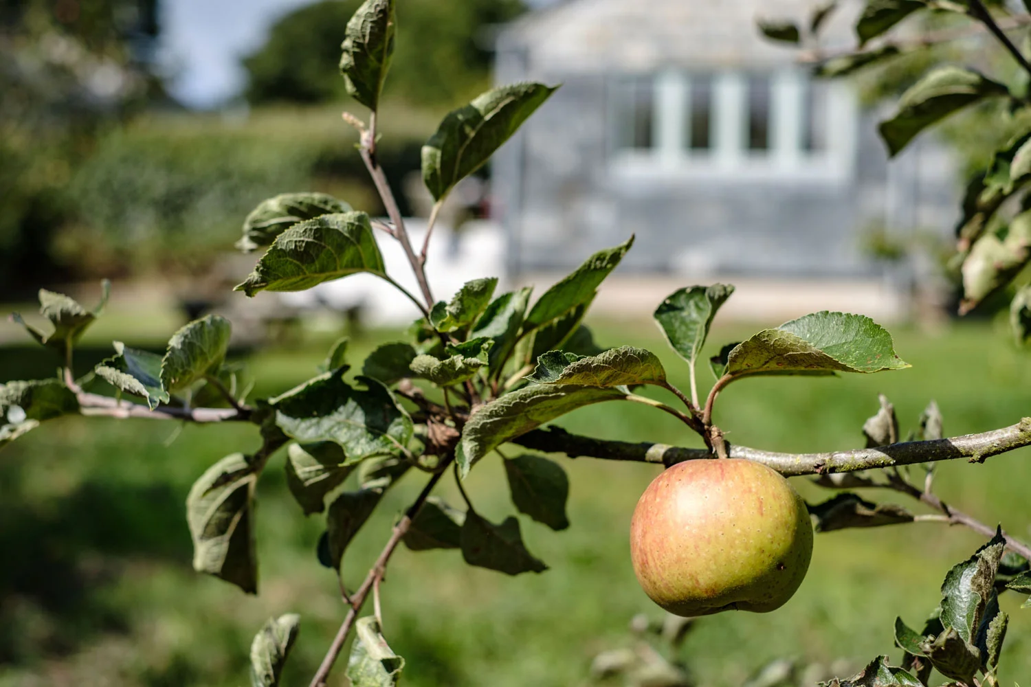 Moyles-Farm-exterior-shots-13.jpg