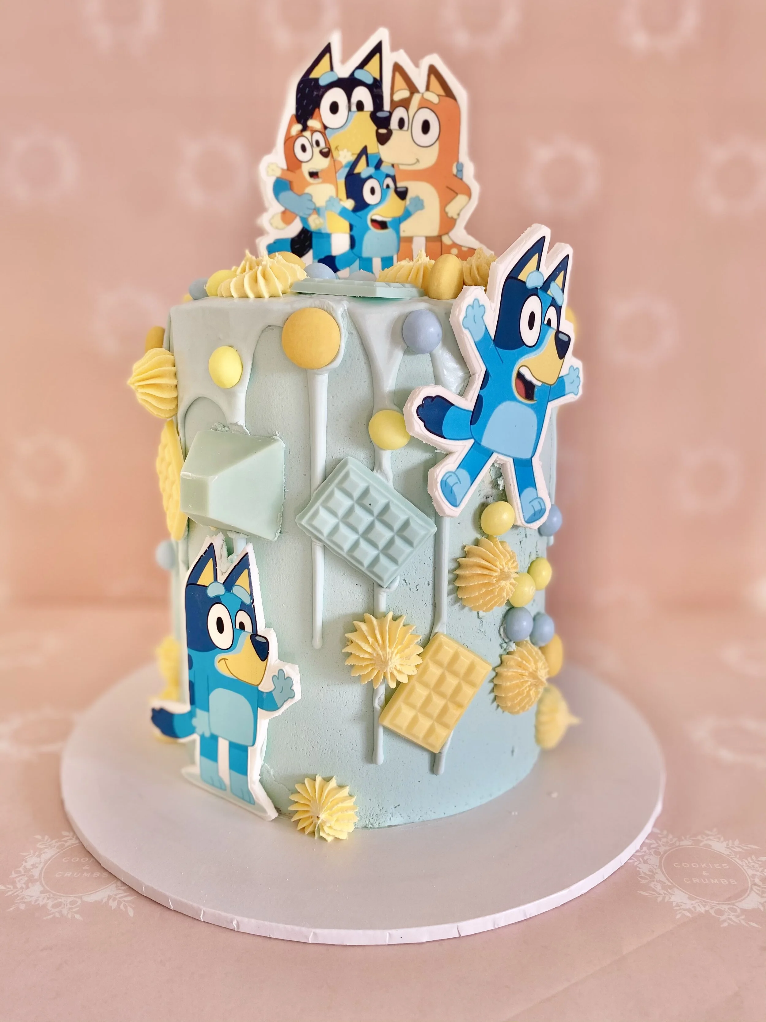 BLUEY cake
