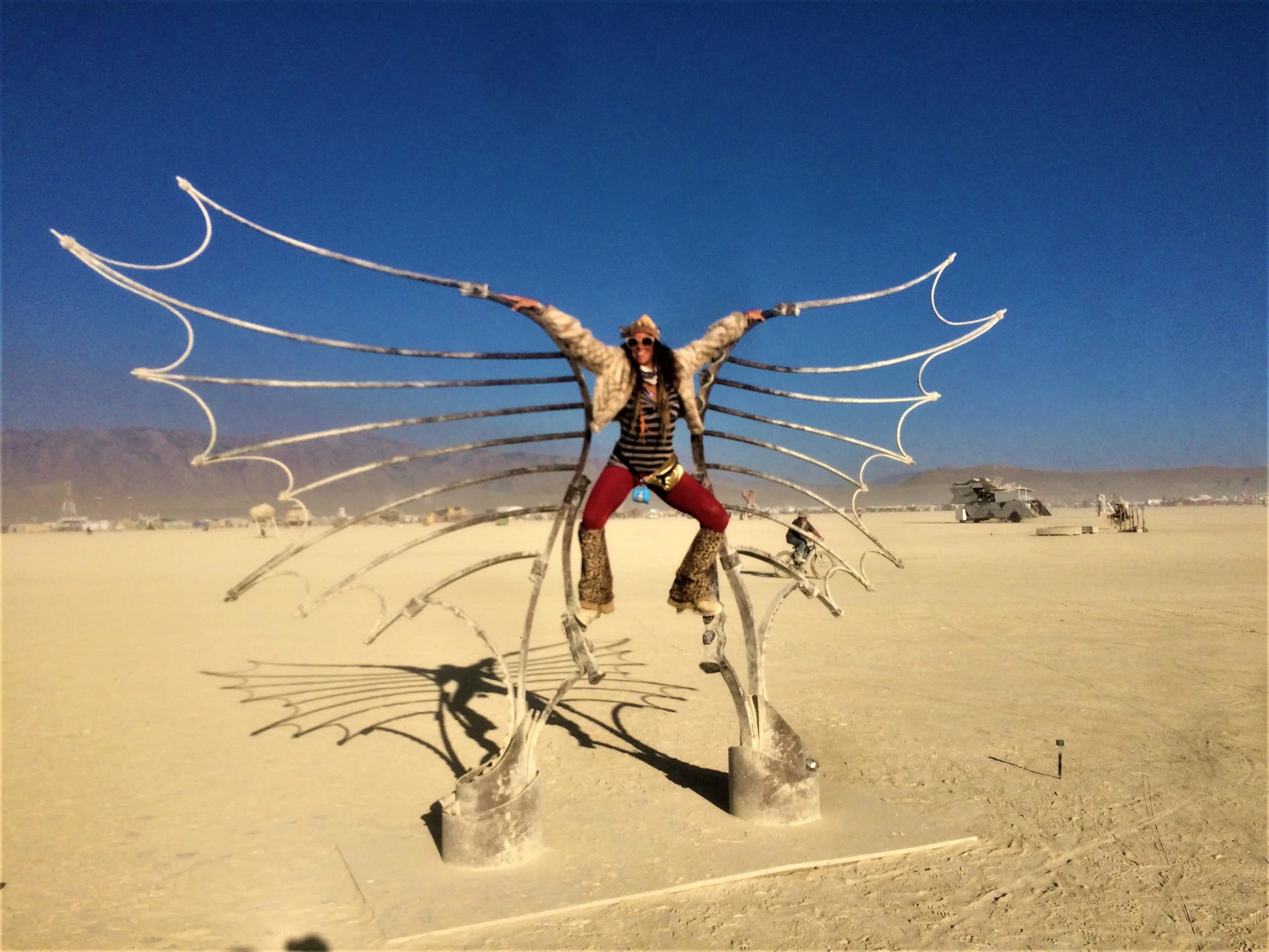fairydesert.jpeg