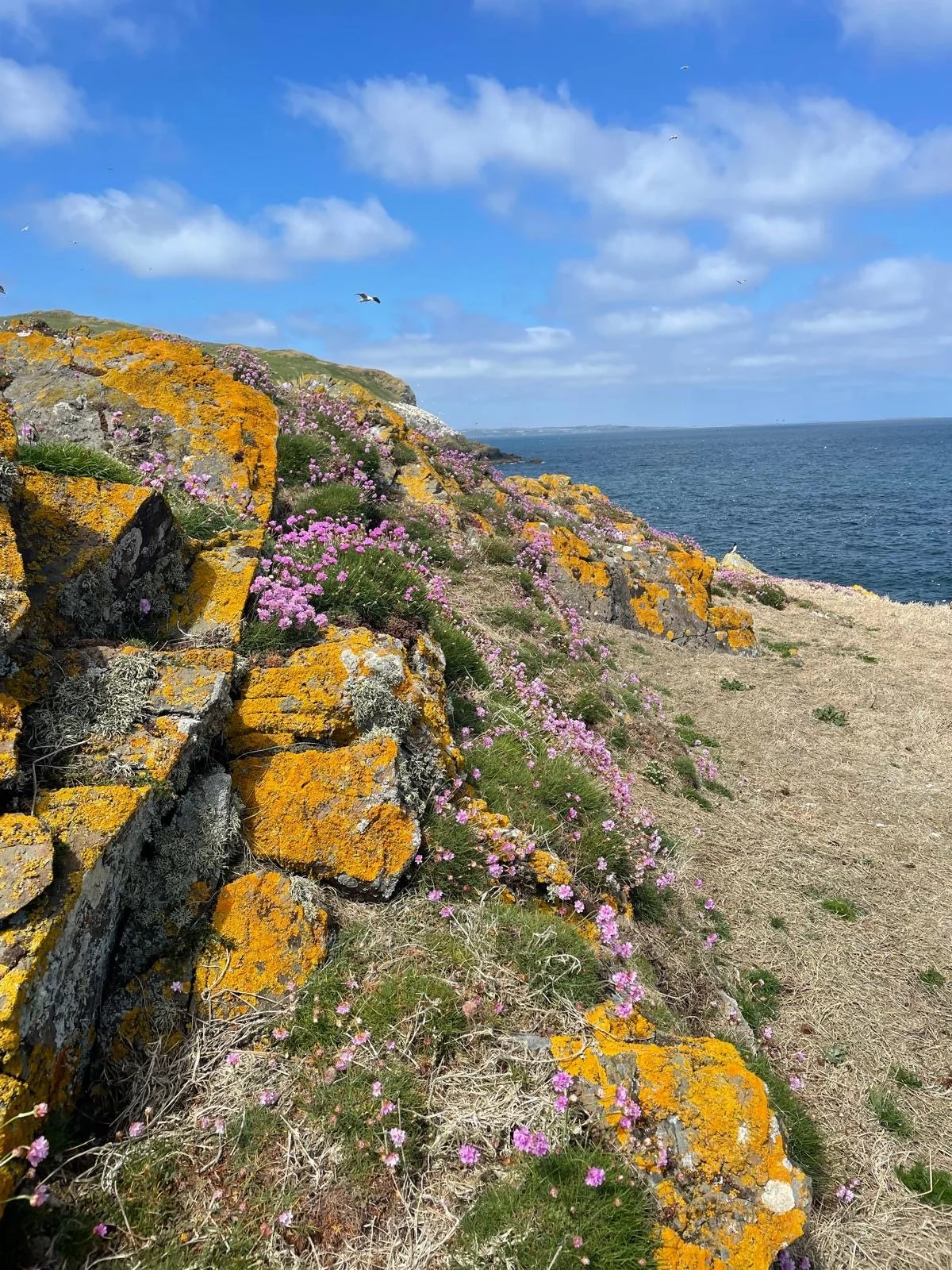 LAMBAY ISLAND' Retreat