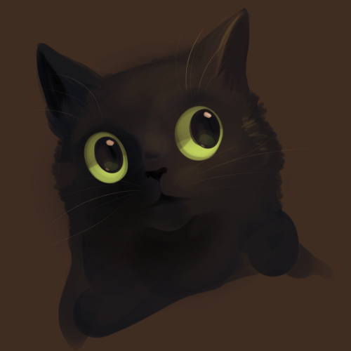 5151869-orig_orig.png