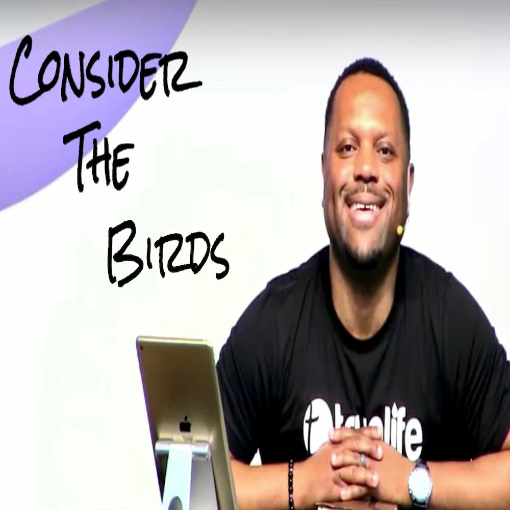 Consider The Birds