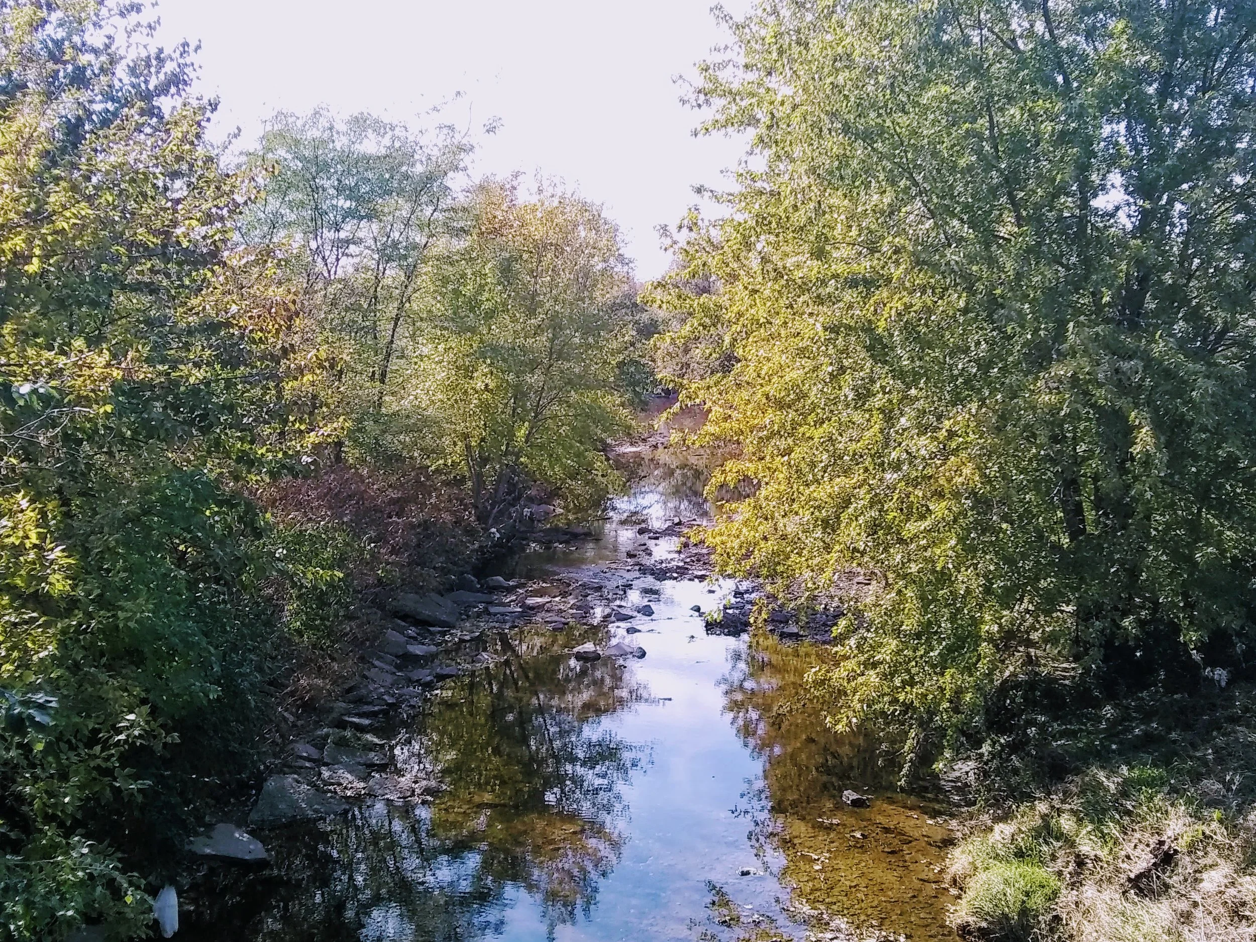 River.jpg