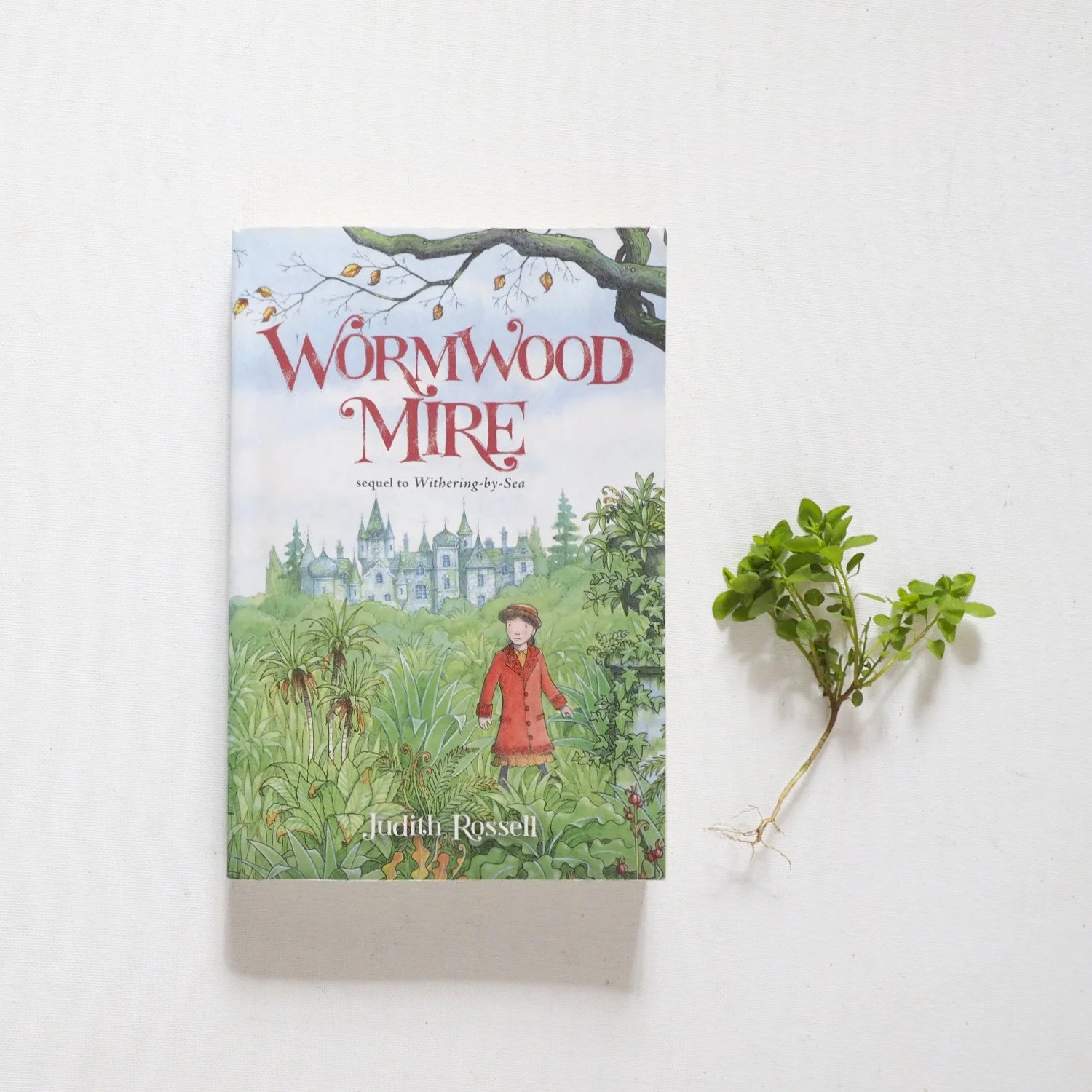 Wormwood Mire by Judith Rossell
