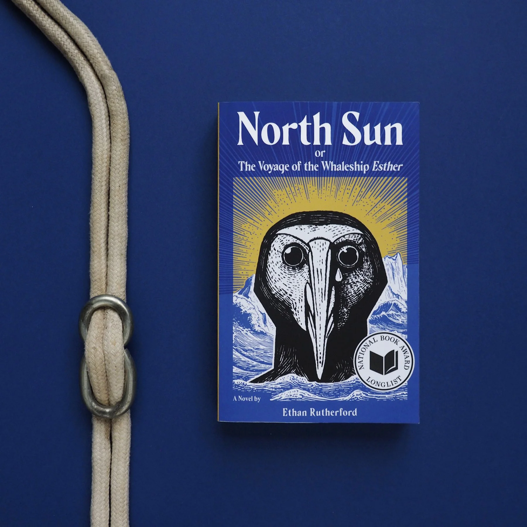 Cover of North Sun showing a strange black and white bird head rising from the Arctic sea.