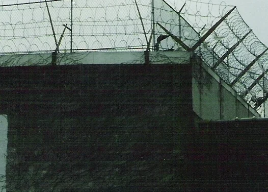 Security Roof Fence