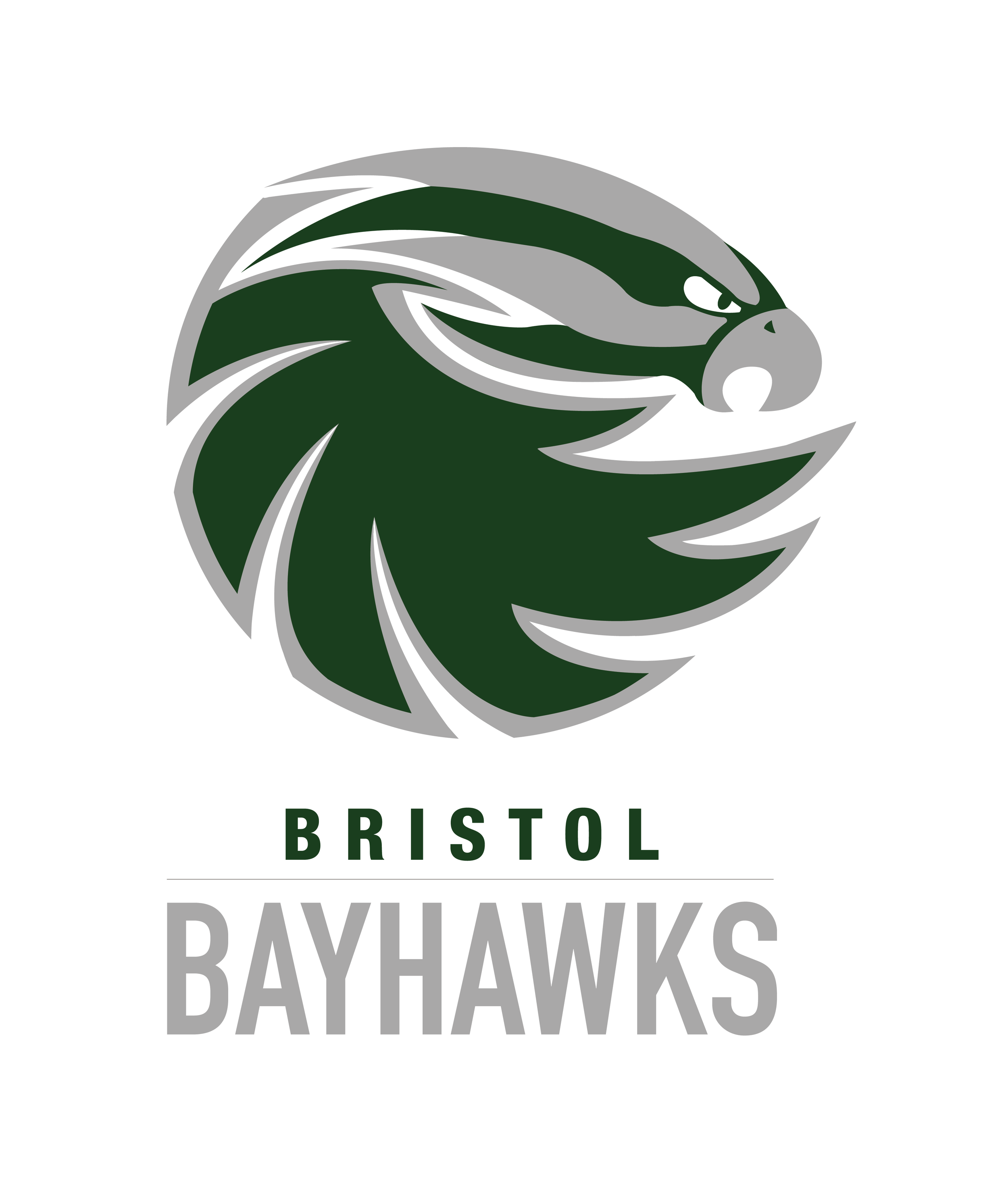 Bayhawks_green_bristol 1-01.png