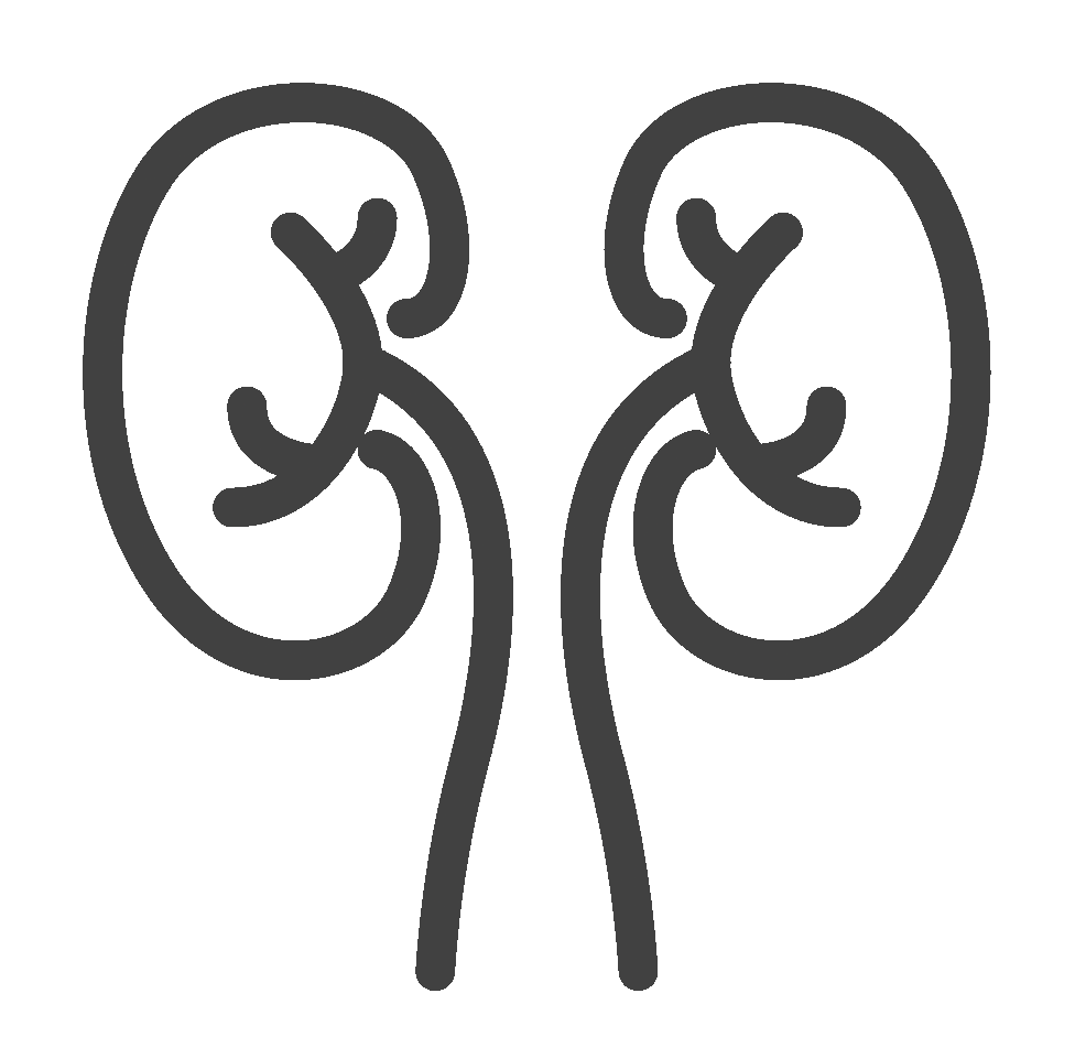 Aetna_Icon_Kidney.gif
