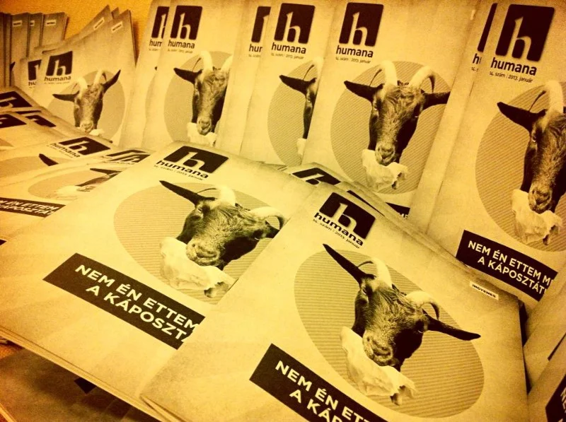 Human Rights from Youth to Youth