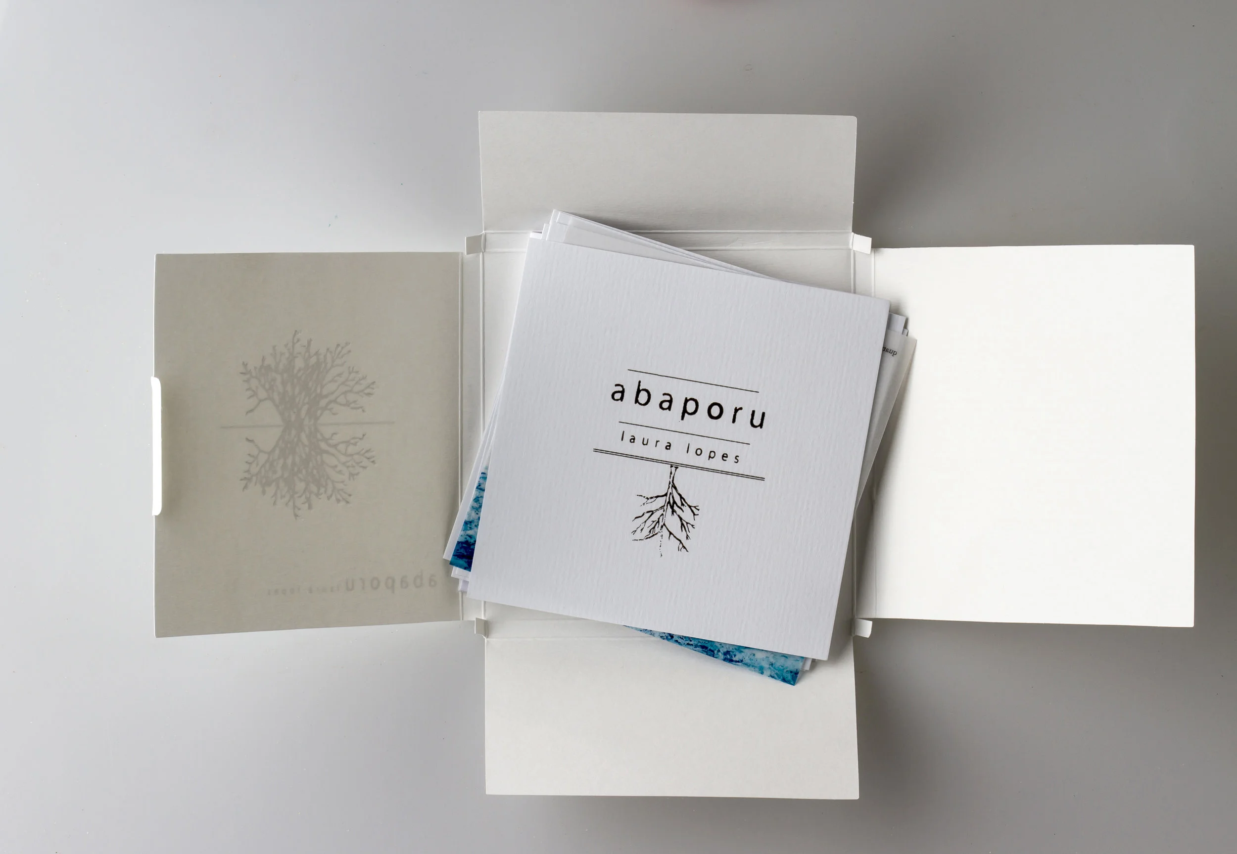 LIVRO_ABAPORU2_foto_marco_aurelio_prates.jpg.jpg