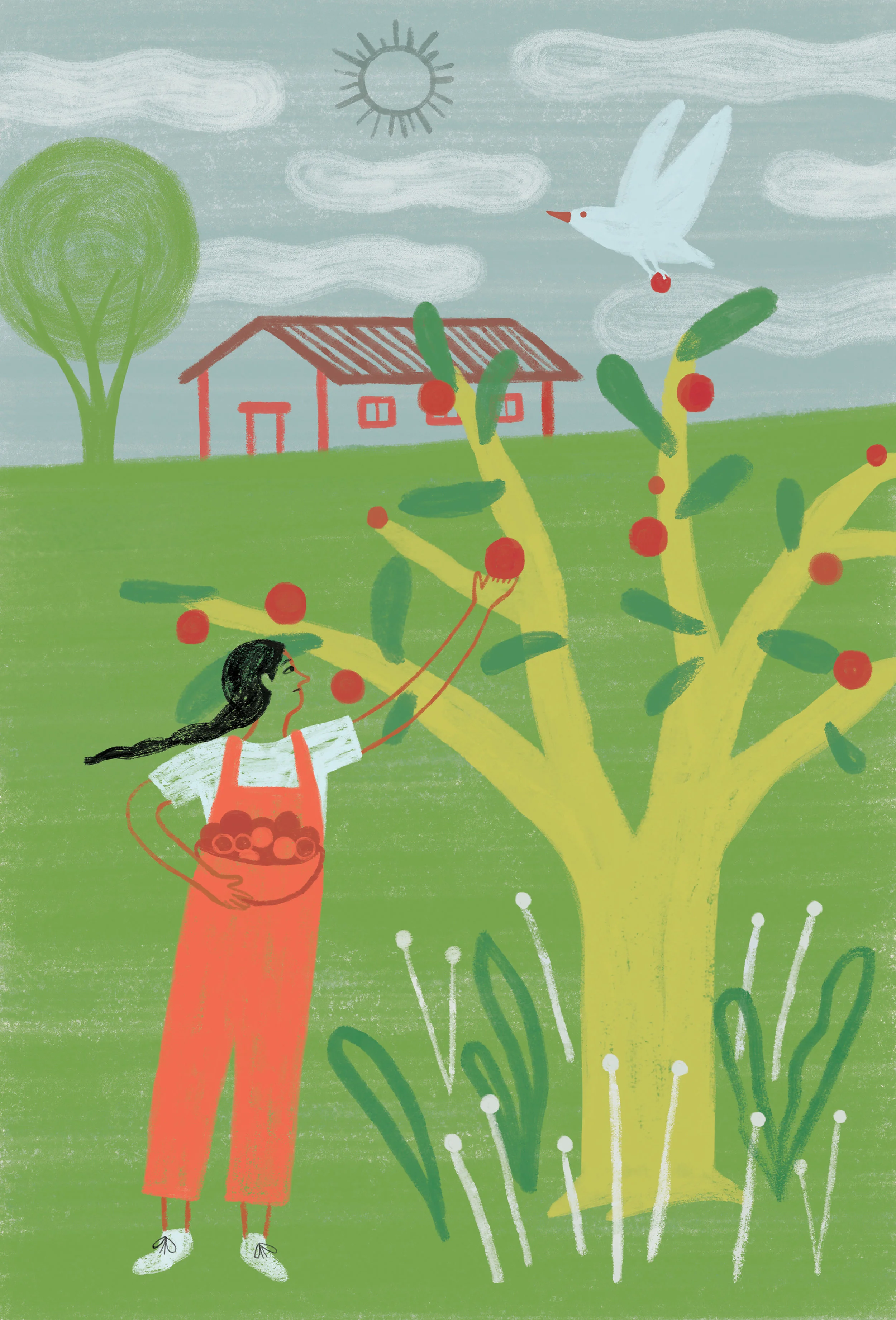 Iberoamerica_Ilustra_Personal_The_Harvest_3.jpg