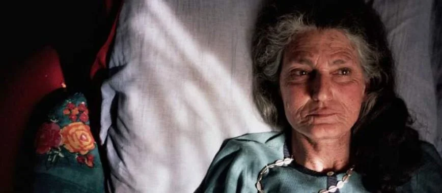 The Disappearance of My Mother
