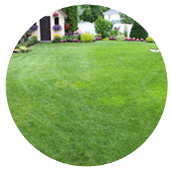 Programme Pro-Vert.png