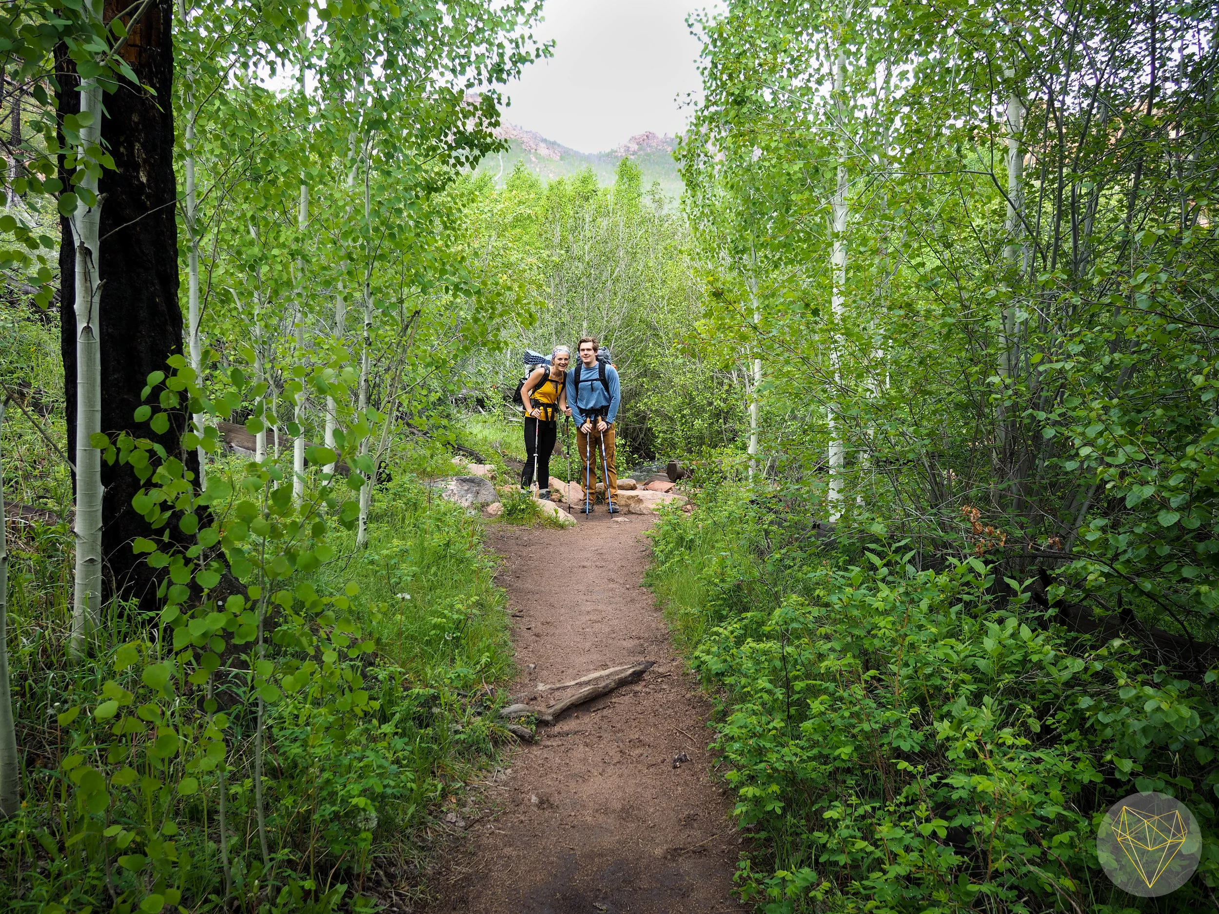 Aspens