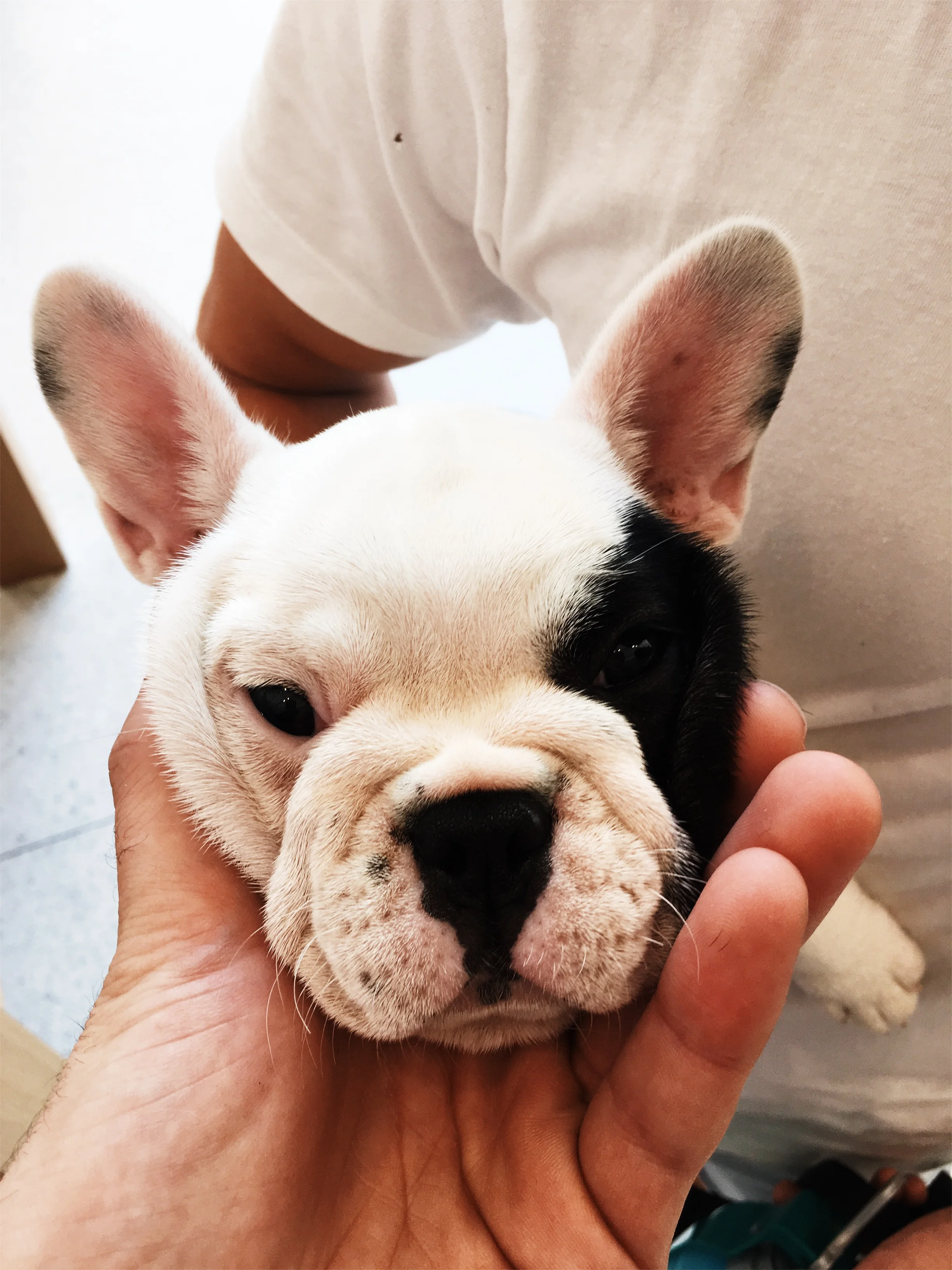 JPEG image-AE816DEE5898-19.jpeg