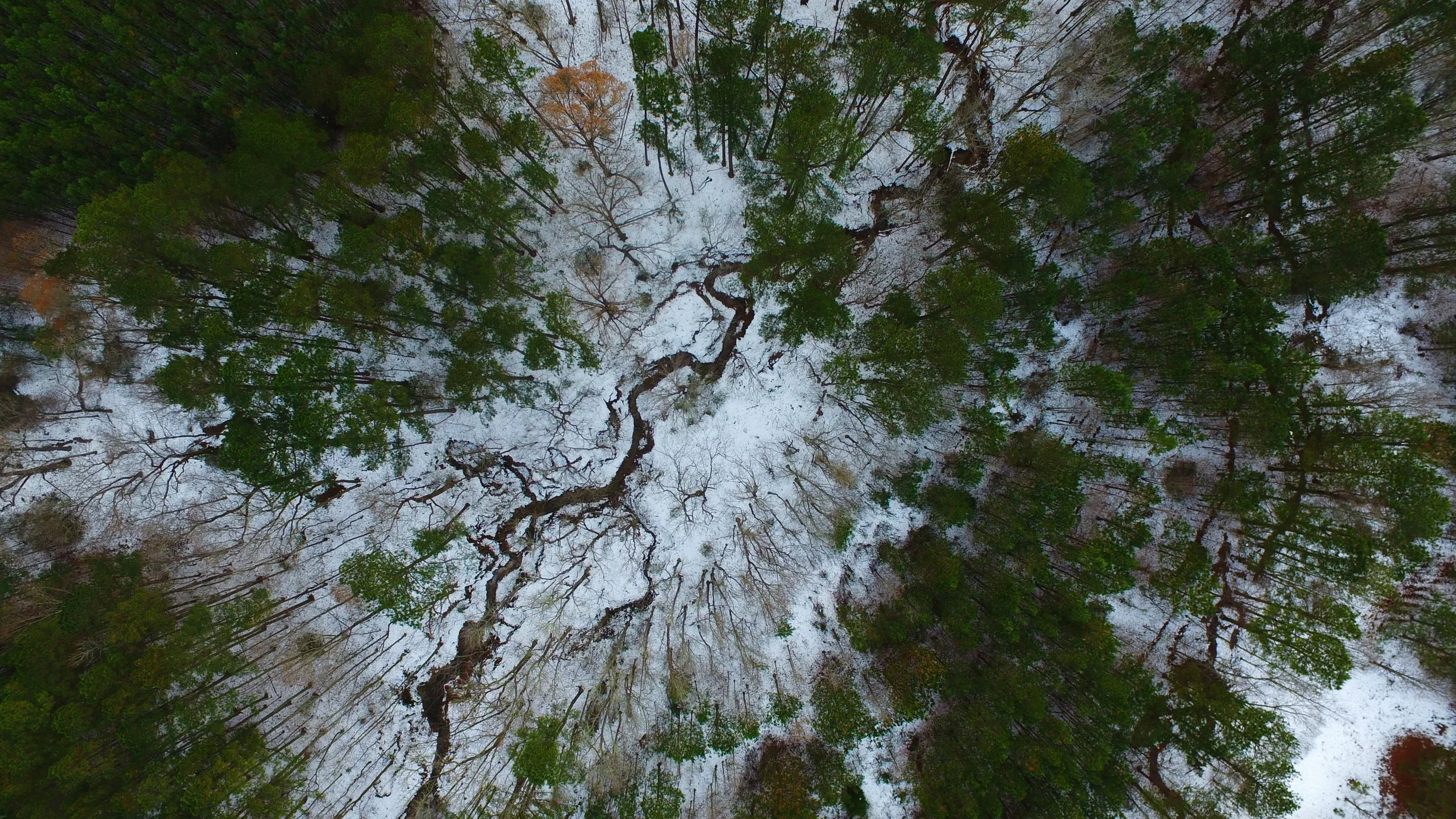 winter drone_DJI_0018.jpg