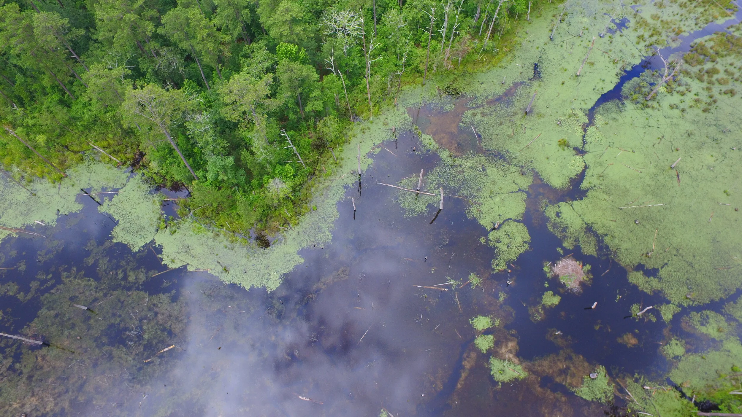 NC Riverine ResilieNCe Study — COASTAL DYNAMICS DESIGN LAB