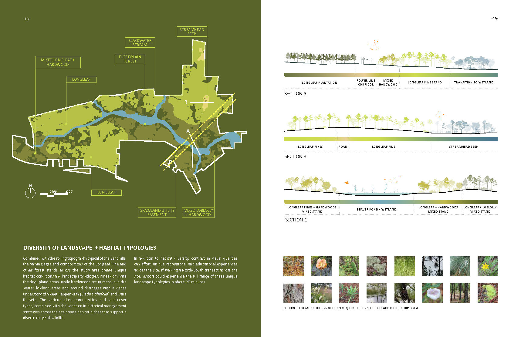 Nicks Creek Final Report 2020.09.30 Compressed_Page_11.jpg