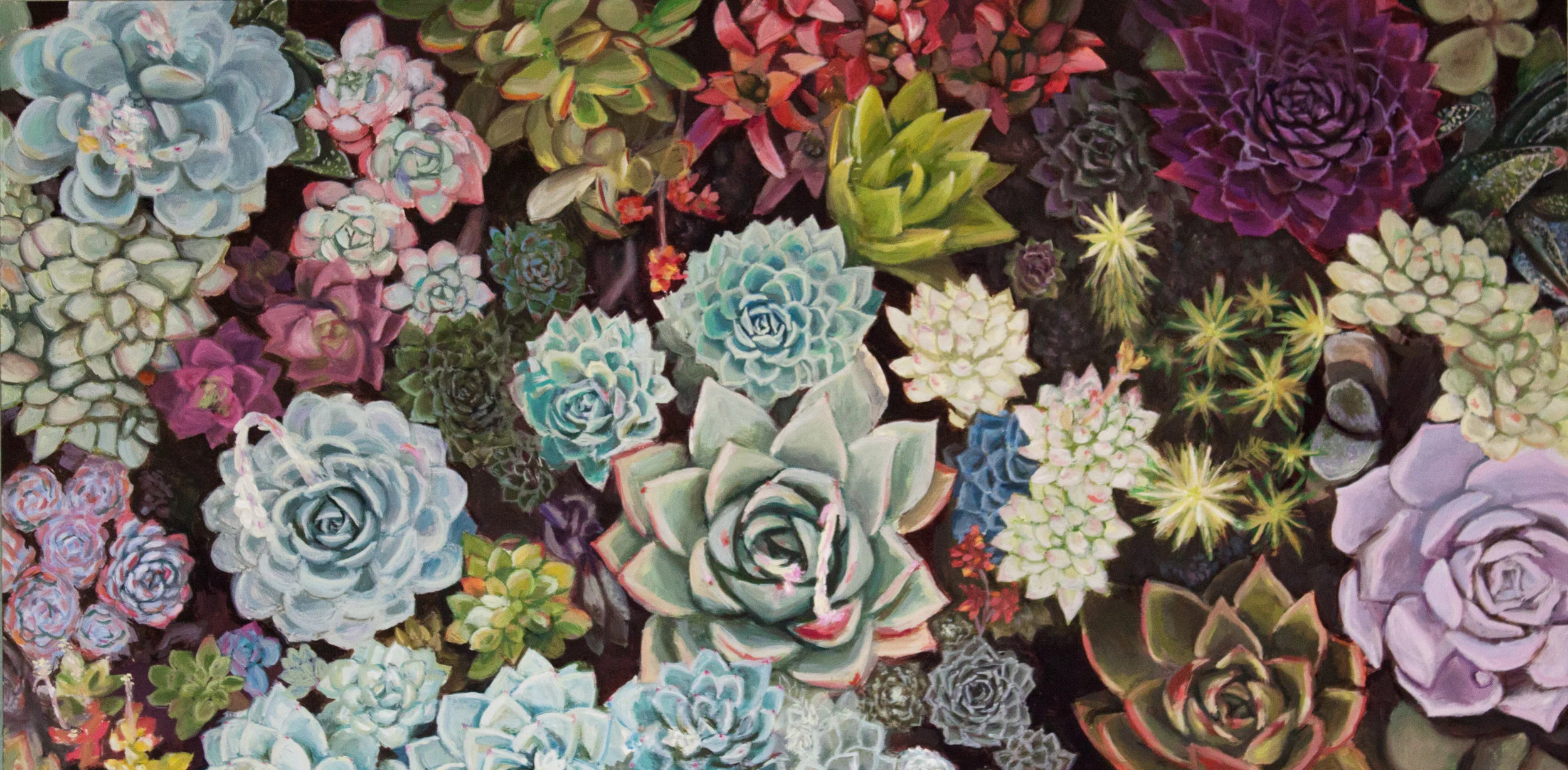 succulentgarden.jpg
