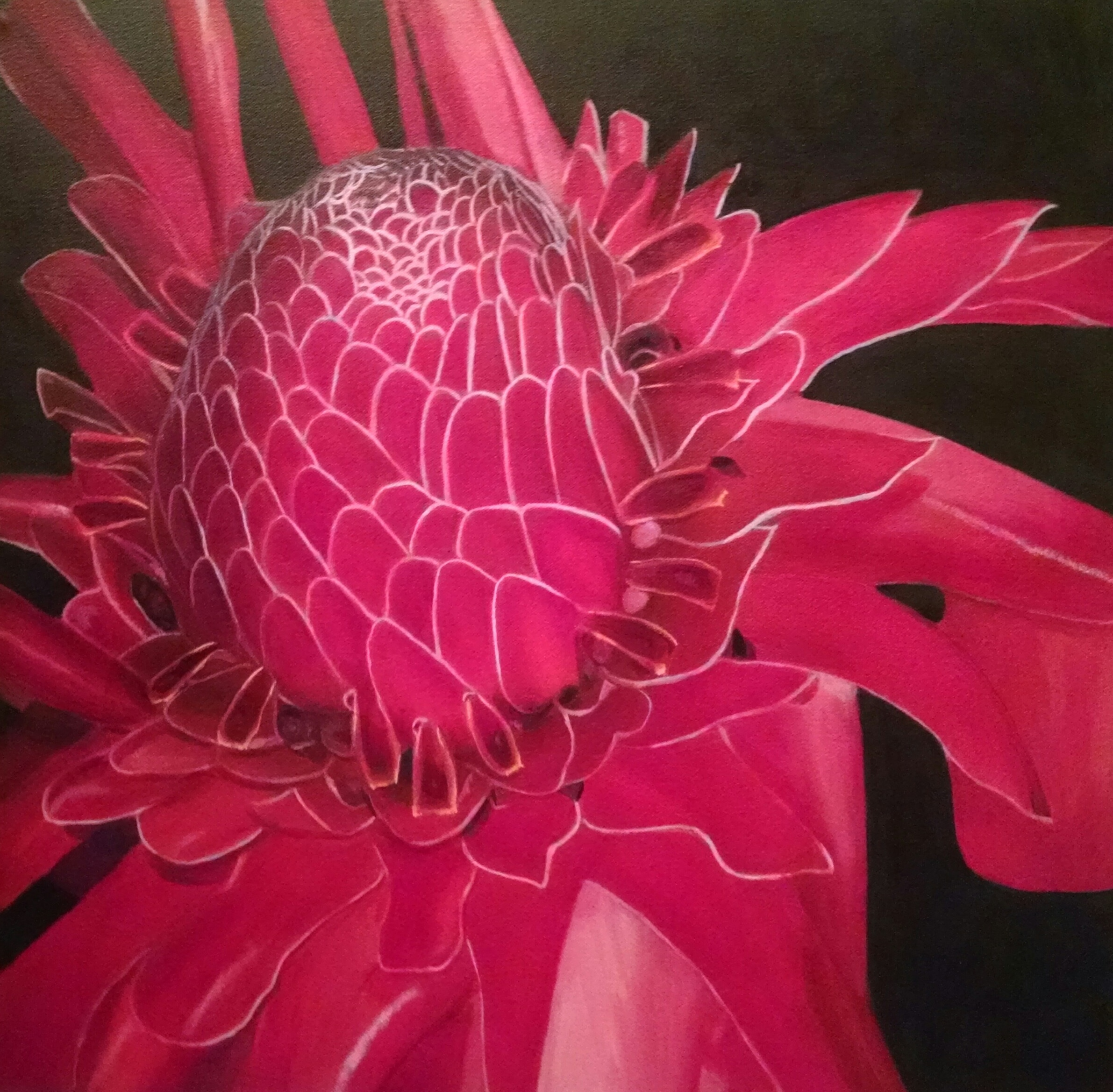 Torch Flower