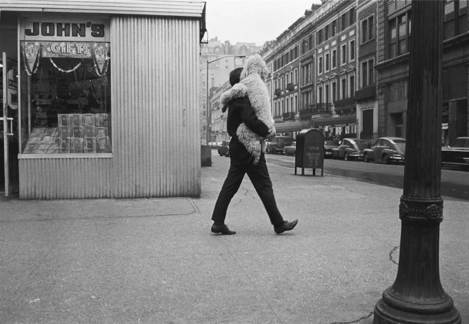 Grab a dog! Photo by Joel Meyerowitz